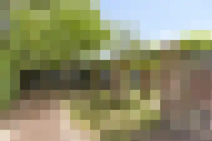 Beatrixlaan 10 Haren Gn thumbnail 37