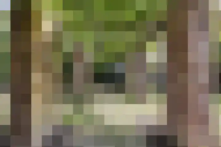 Beatrixlaan 10 Haren Gn thumbnail 38