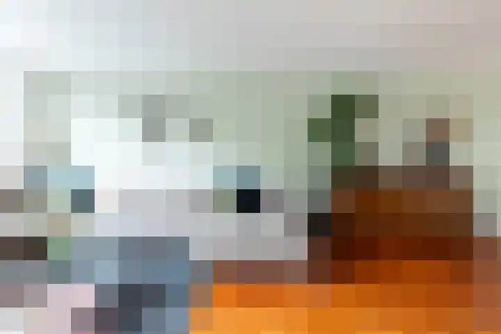 Beatrixlaan 10 Reeuwijk thumbnail 10