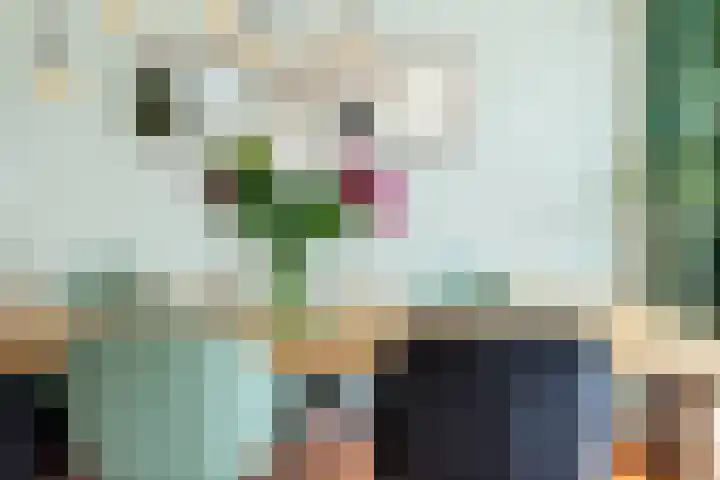 Beatrixlaan 10 Reeuwijk thumbnail 12