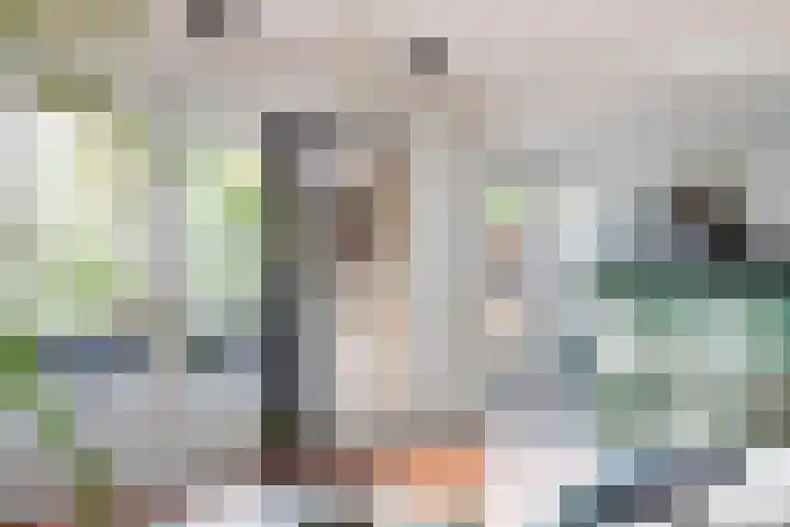 Beatrixlaan 10 Reeuwijk thumbnail 13