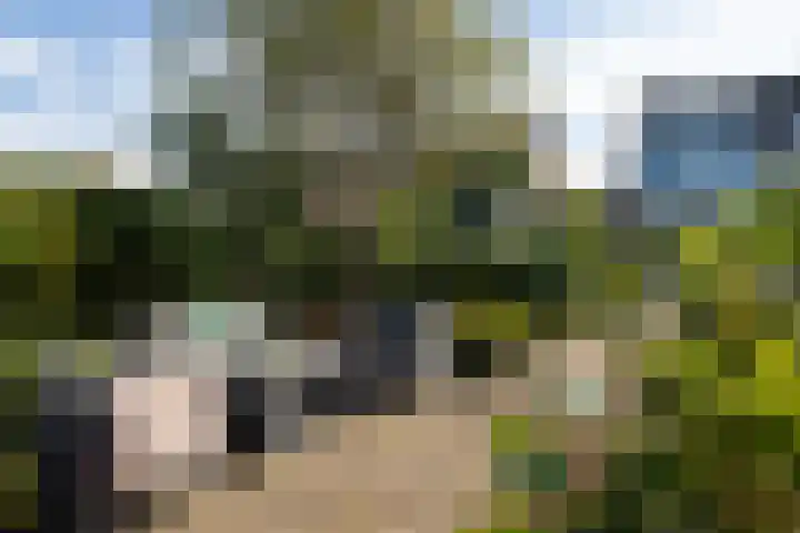 Beatrixlaan 10 Reeuwijk thumbnail 51