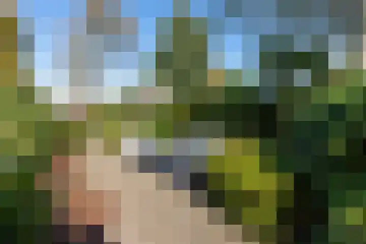 Beatrixlaan 10 Reeuwijk thumbnail 52