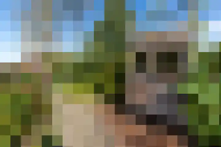 Beatrixlaan 10 Reeuwijk thumbnail 53