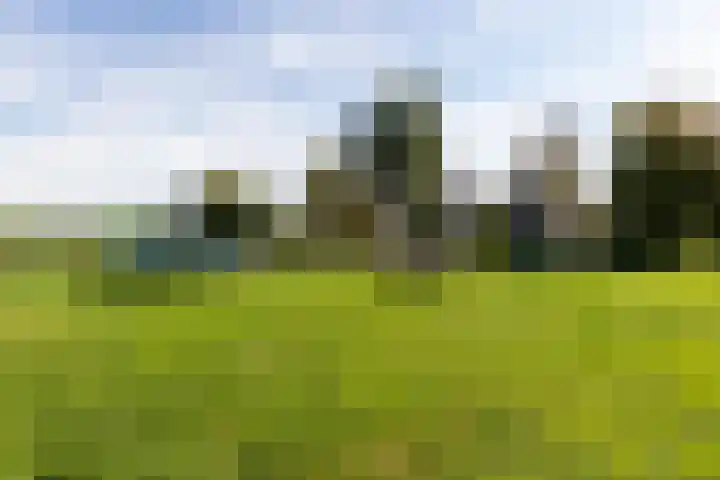 Beatrixlaan 10 Reeuwijk thumbnail 60