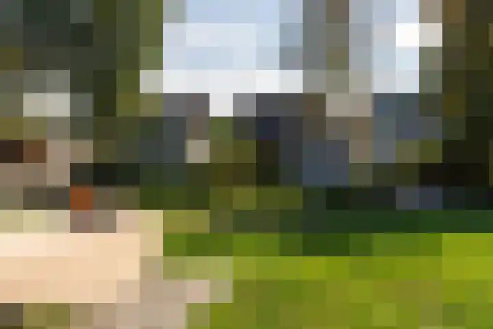Beatrixlaan 10 Reeuwijk thumbnail 61