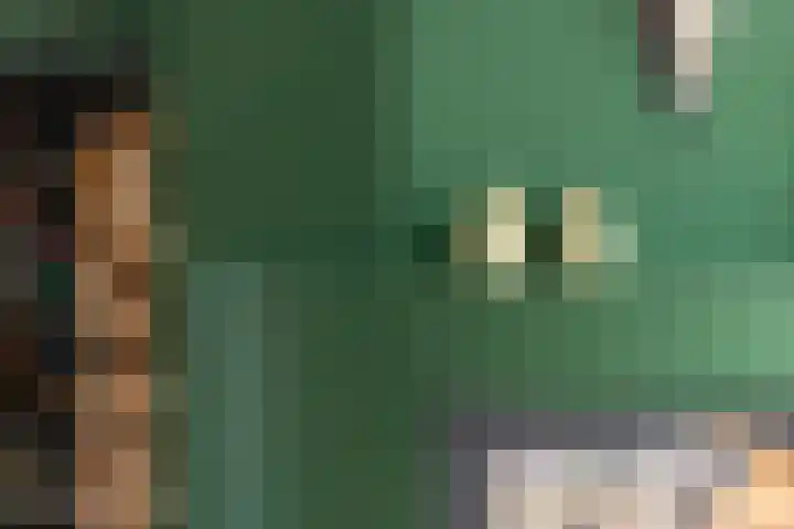 Beatrixlaan 10 Reeuwijk thumbnail 8
