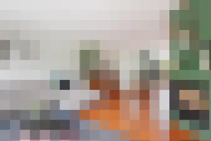 Beatrixlaan 10 Reeuwijk thumbnail 9