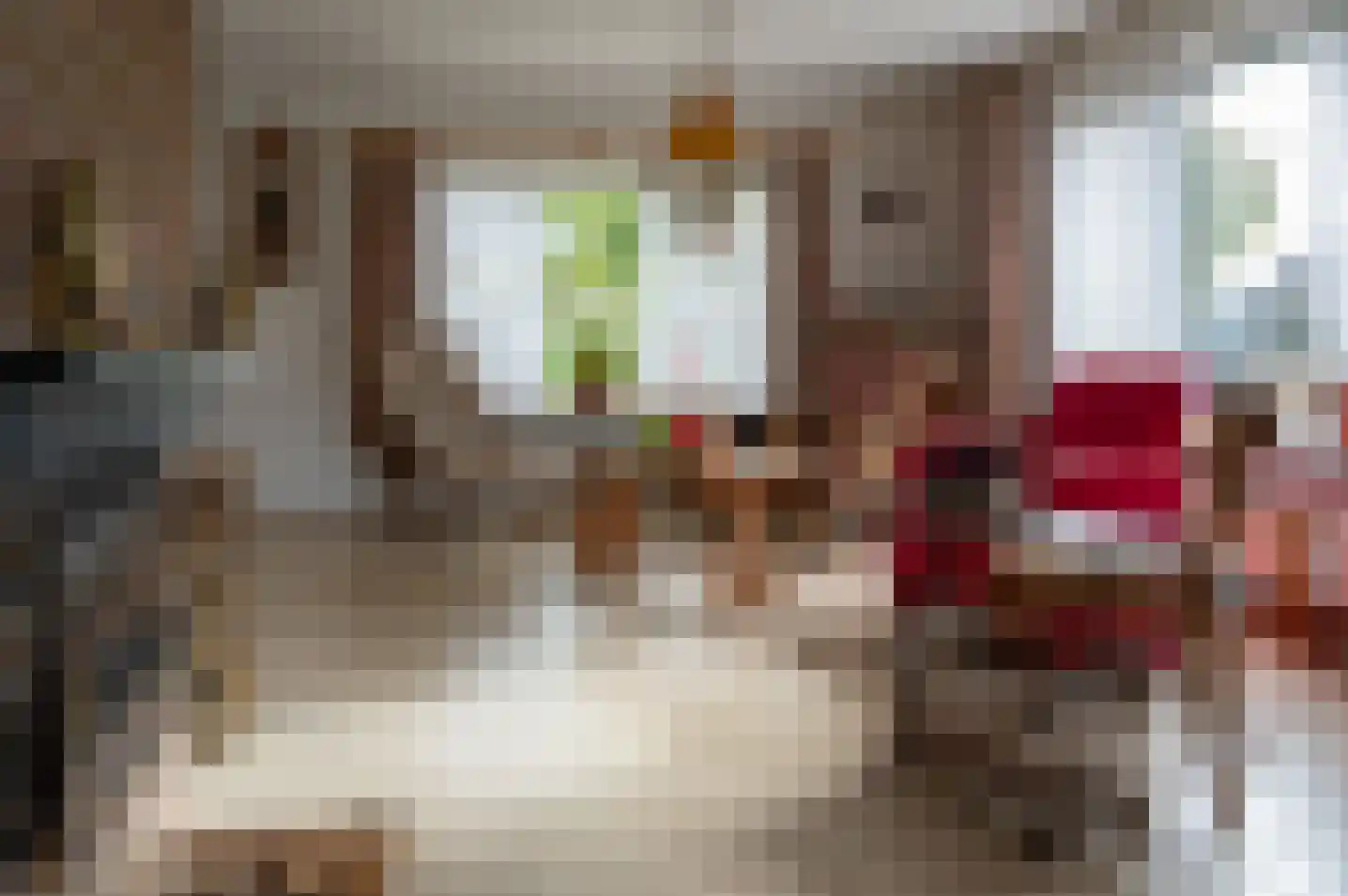 Beatrixlaan 10 Vorden thumbnail 14