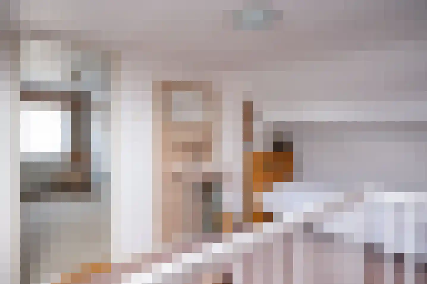 Beatrixlaan 10 Vorden thumbnail 24