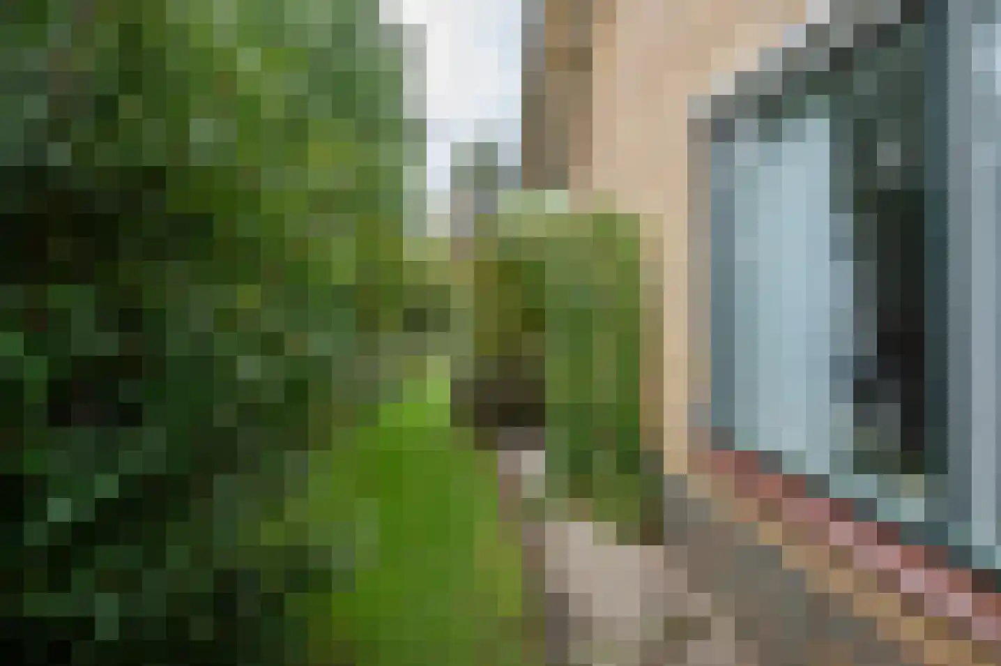 Beatrixlaan 10 Vorden thumbnail 34