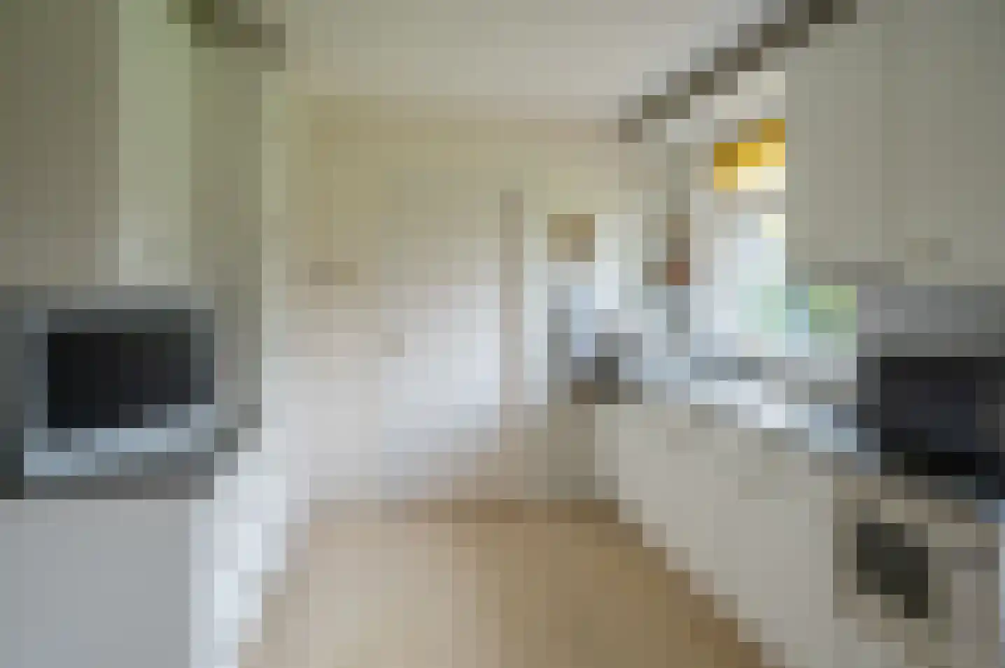 Beatrixlaan 10 Vorden thumbnail 4