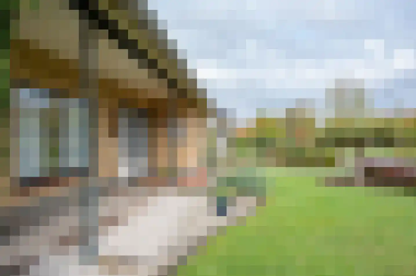 Beatrixlaan 10 Vorden thumbnail 6