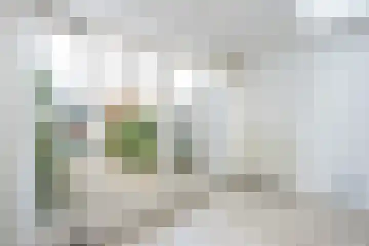 Beatrixlaan 107 Den Burg thumbnail 14