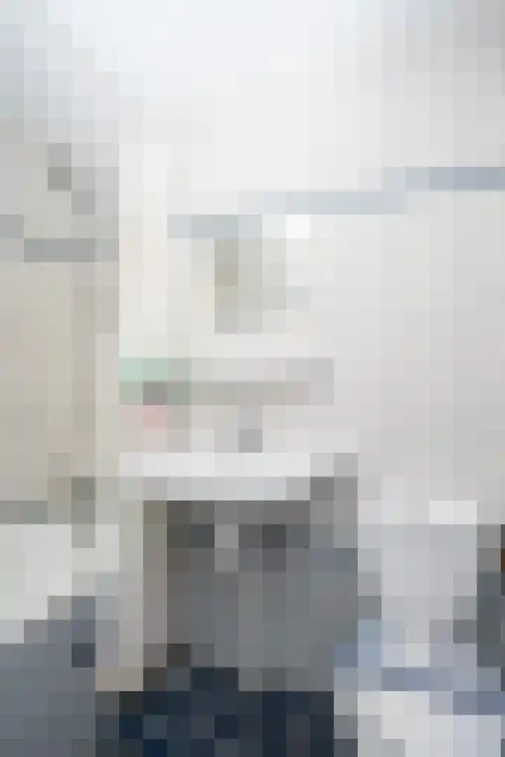 Beatrixlaan 107 Den Burg thumbnail 24