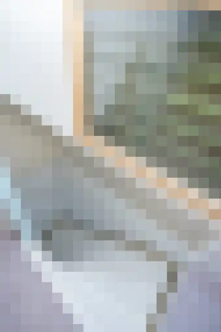 Beatrixlaan 107 Den Burg thumbnail 30
