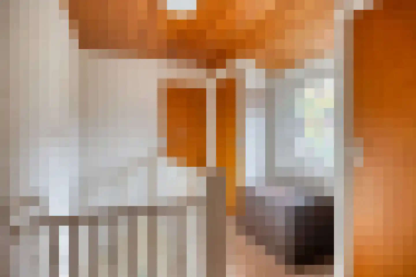 Beatrixlaan 11 Boekel thumbnail 22