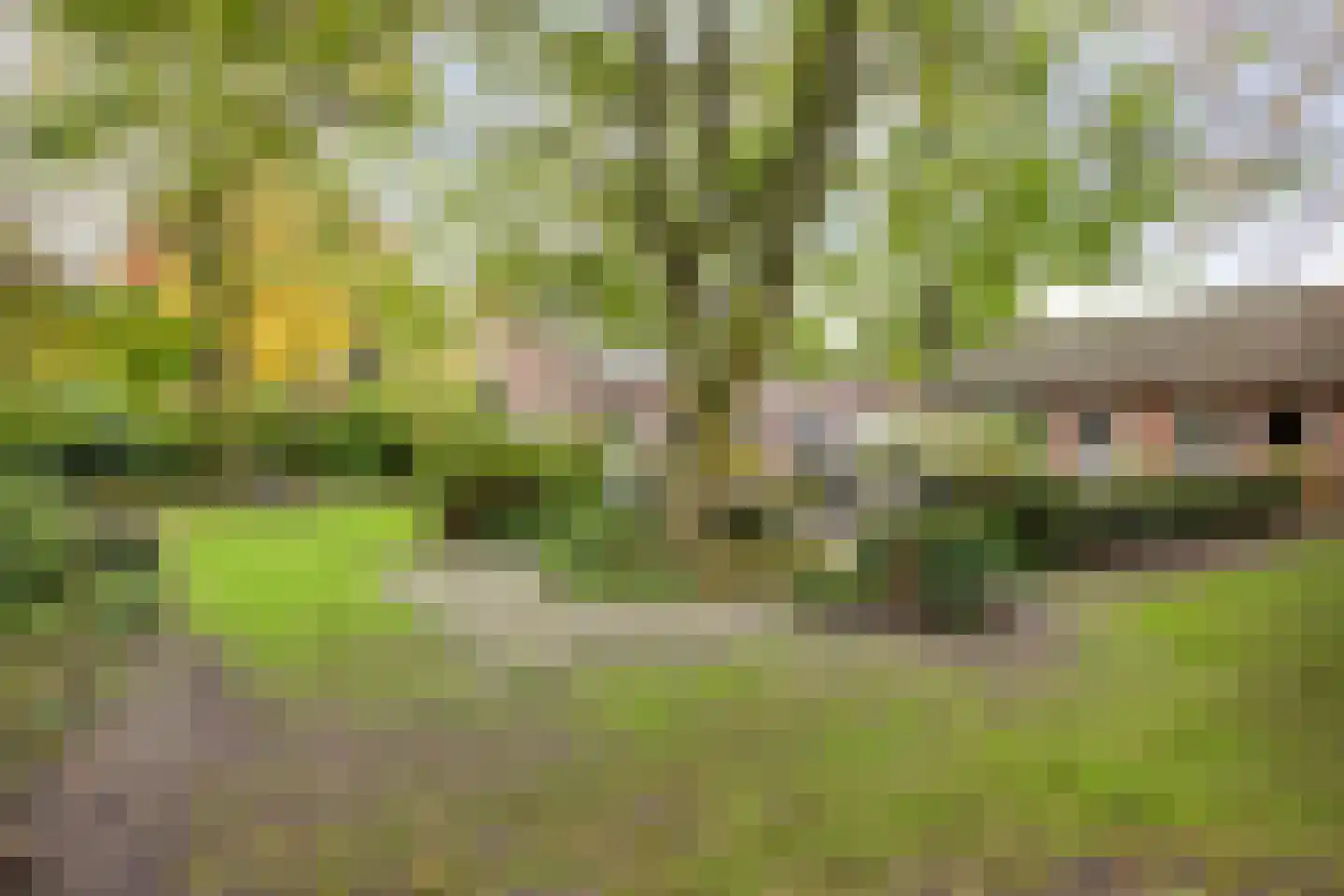 Beatrixlaan 11 Boekel thumbnail 42