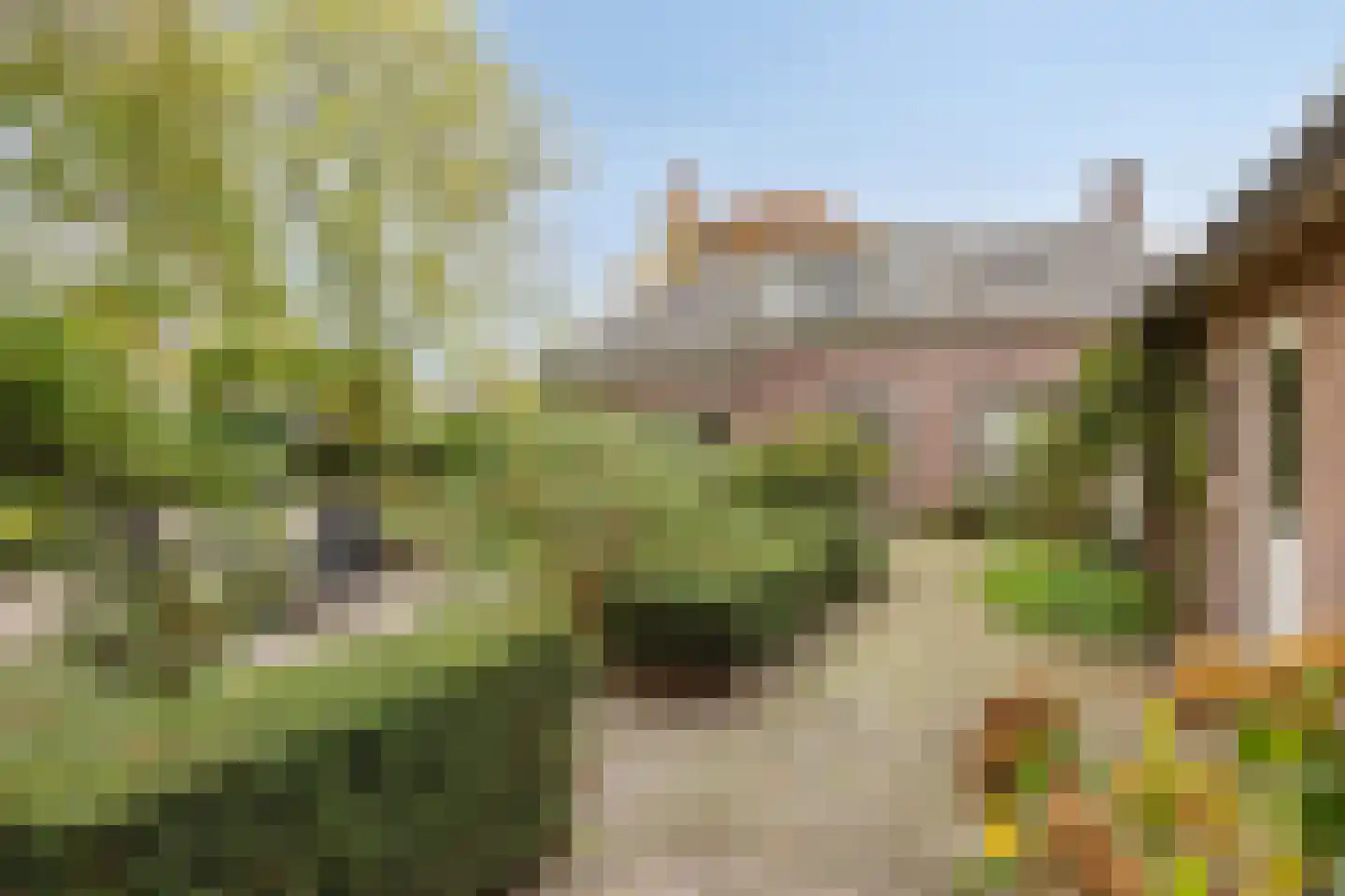 Beatrixlaan 11 Boekel thumbnail 46