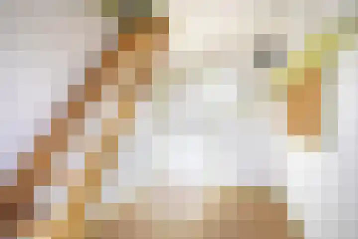 Beatrixlaan 11 Goes thumbnail 28