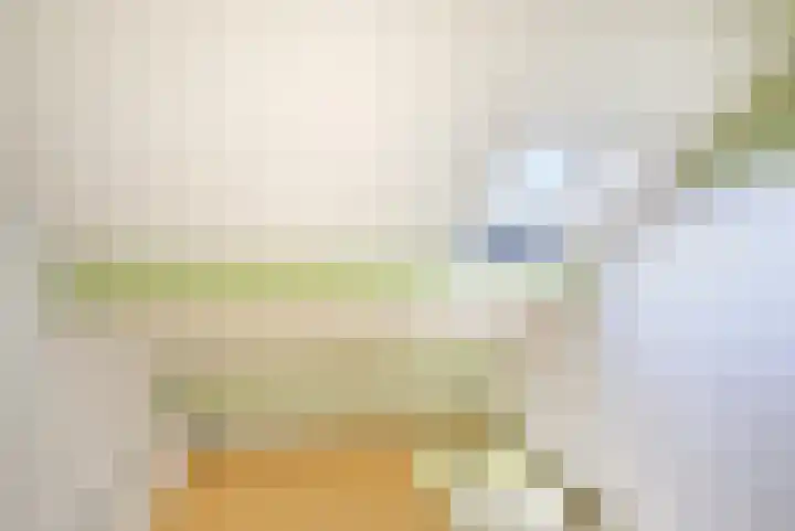 Beatrixlaan 11 Goes thumbnail 29