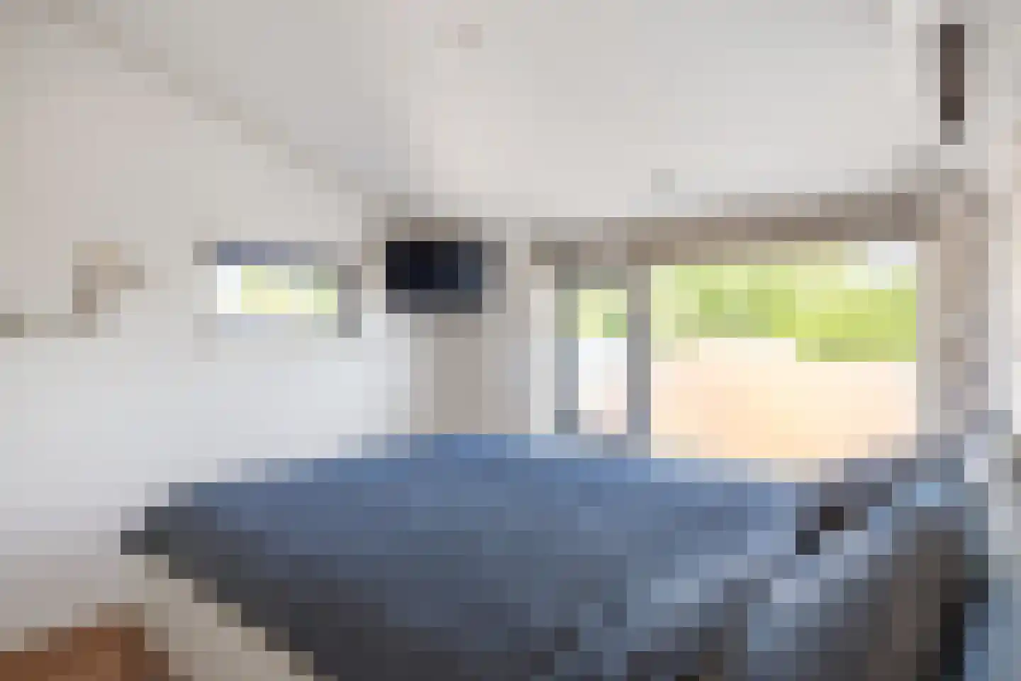 Beatrixlaan 11 Zuidbroek thumbnail 25