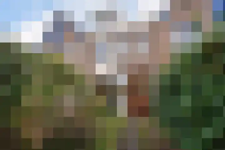 Beatrixlaan 117 Den Burg thumbnail 11