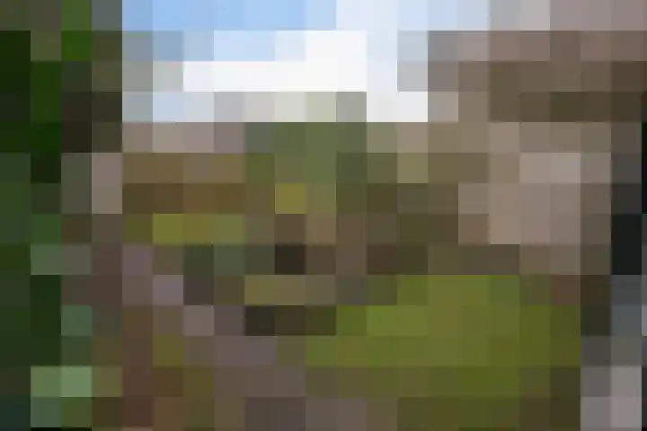 Beatrixlaan 117 Den Burg thumbnail 12