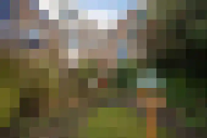 Beatrixlaan 117 Den Burg thumbnail 13
