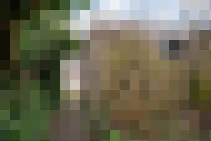 Beatrixlaan 117 Den Burg thumbnail 14