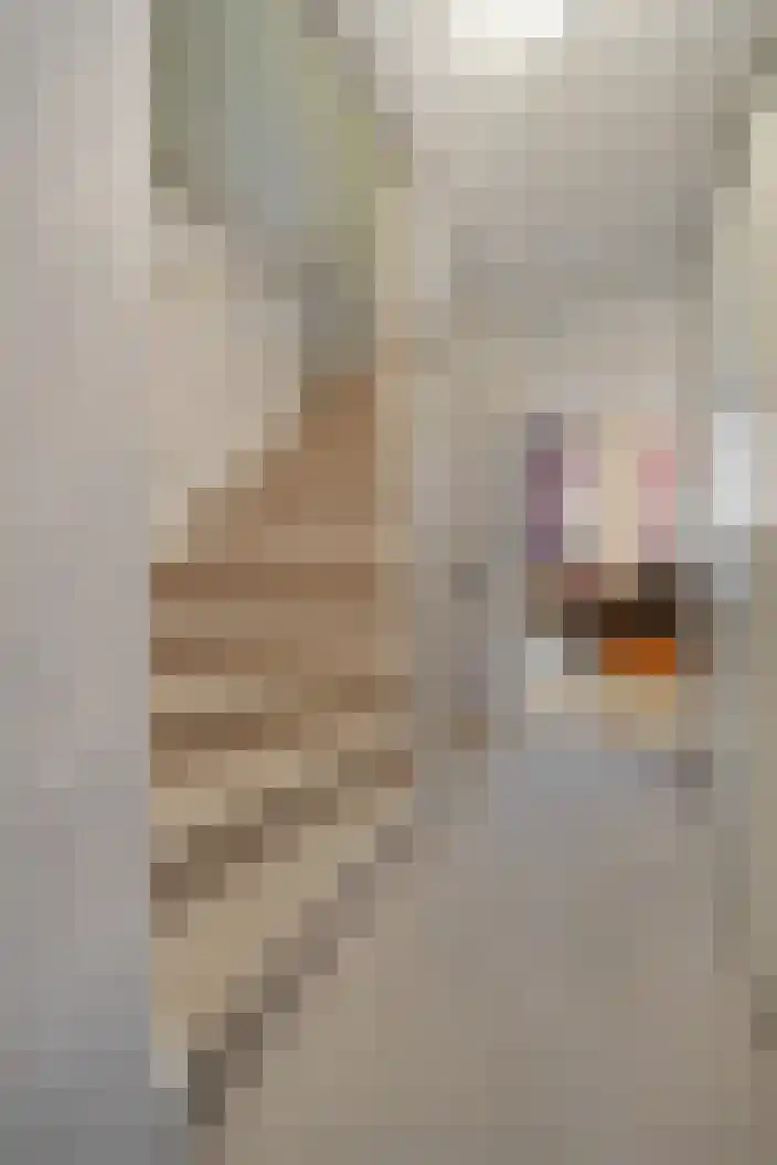 Beatrixlaan 117 Den Burg thumbnail 26