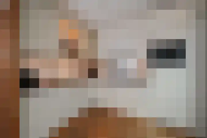 Beatrixlaan 117 Den Burg thumbnail 9