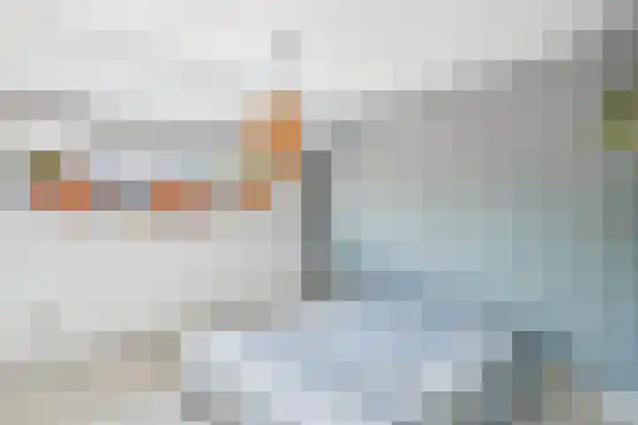 Beatrixlaan 119 Vlissingen thumbnail 24