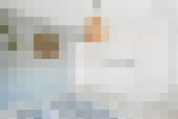Beatrixlaan 119 Vlissingen thumbnail 25