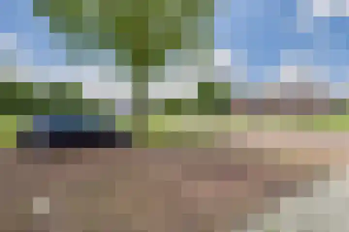 Beatrixlaan 119 Vlissingen thumbnail 31