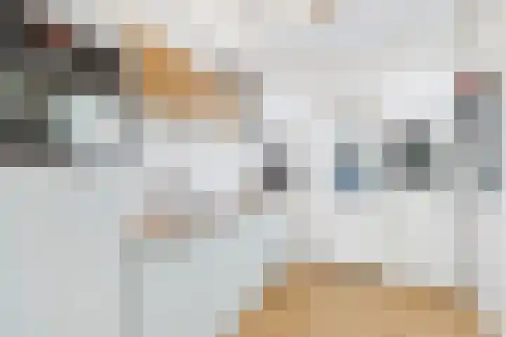 Beatrixlaan 119 Vlissingen thumbnail 8