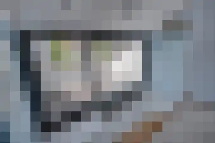 Beatrixlaan 12 Vorden thumbnail 22
