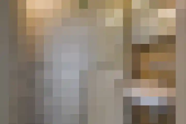 Beatrixlaan 12 Vorden thumbnail 24