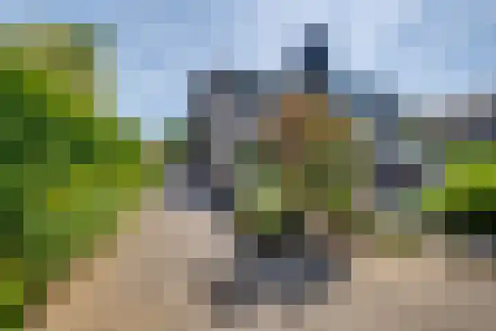 Beatrixlaan 12 Vorden thumbnail 31