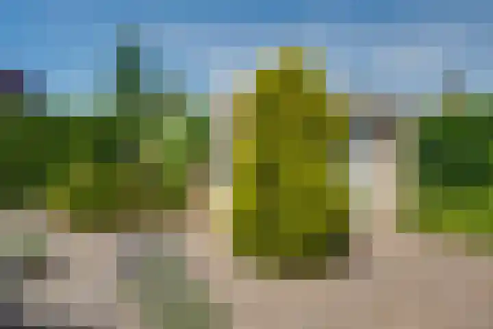 Beatrixlaan 12 Vorden thumbnail 34