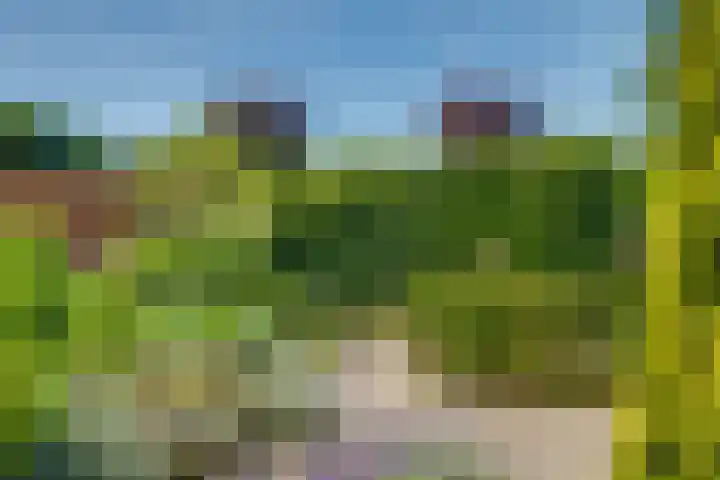 Beatrixlaan 12 Vorden thumbnail 35