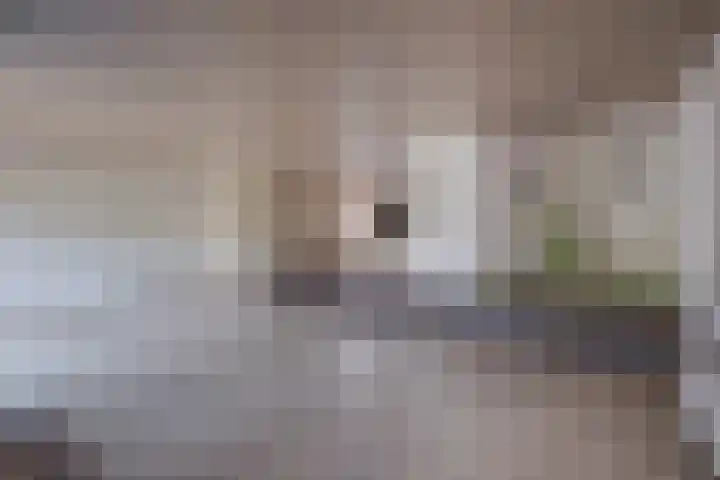 Beatrixlaan 12 Vorden thumbnail 5