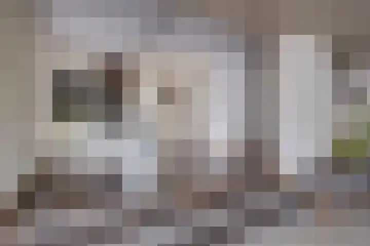 Beatrixlaan 12 Vorden thumbnail 8