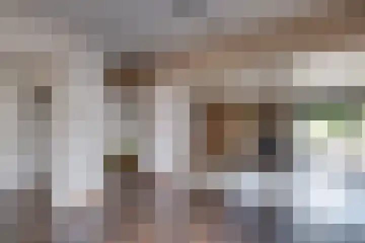 Beatrixlaan 12 Vorden thumbnail 9
