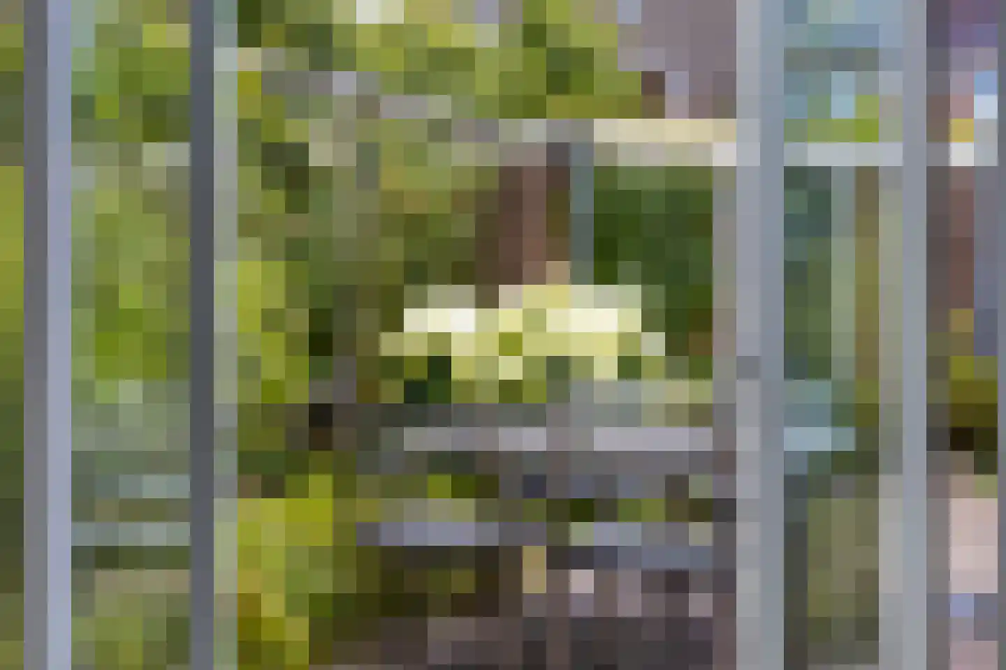 Beatrixlaan 12 Wageningen thumbnail 21