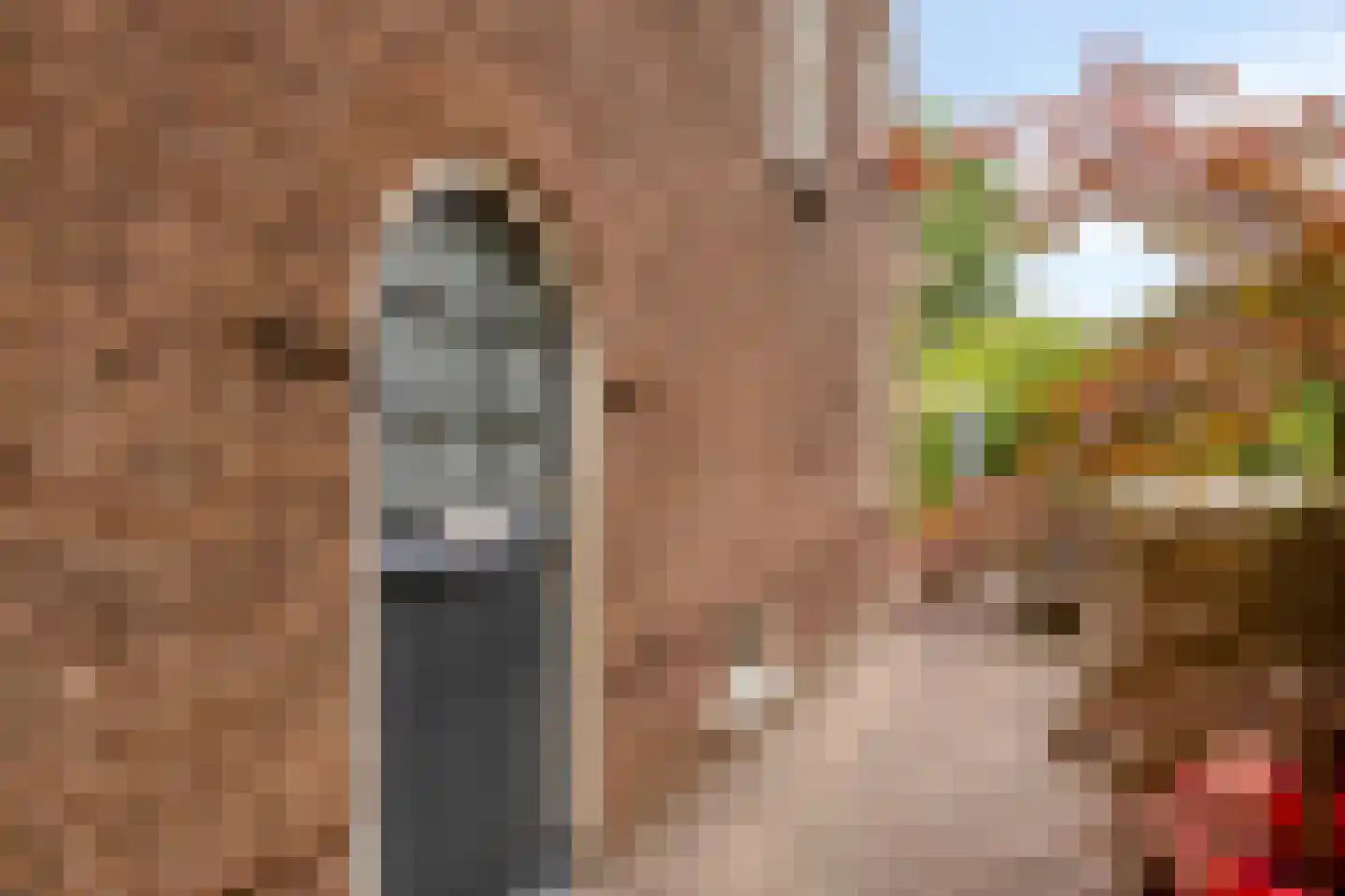 Beatrixlaan 12 Wageningen thumbnail 8