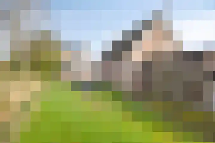 Beatrixlaan 12 Zuidbroek thumbnail 25