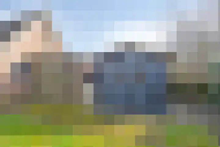 Beatrixlaan 12 Zuidbroek thumbnail 26