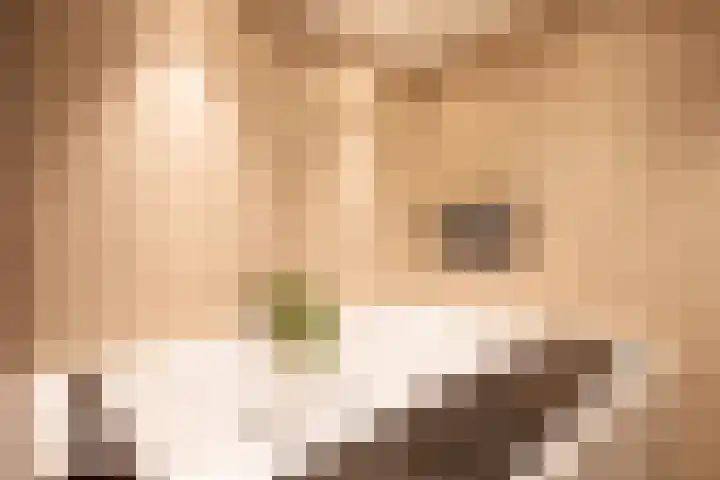 Beatrixlaan 121 Den Burg thumbnail 22