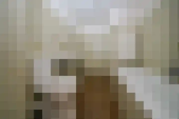 Beatrixlaan 125 Den Burg thumbnail 20